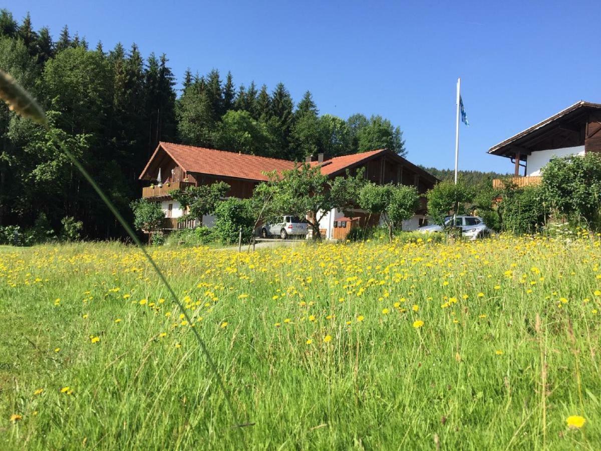 Ferienwohnung Hubertus Bischofsmais Buitenkant foto